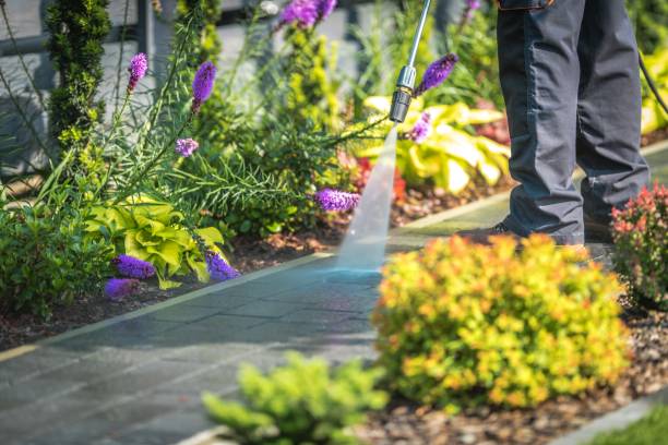 Best Gutter Cleaning and Brightening in Broadway, VA
